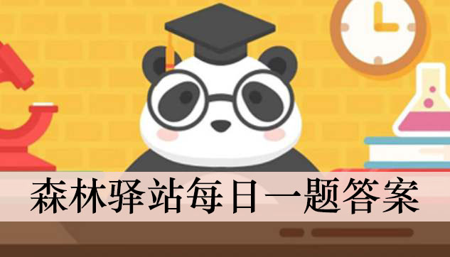 《森林驿站》1月19日森林小课堂答案