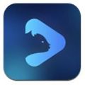 熊袋视频官方版app