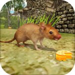 疯狂老鼠王官方下载