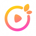 桔子app安卓版免费