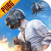 pubg地铁逃生正版下载2.2