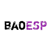 baoesp2.0.9永久卡密