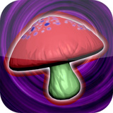 爱丽丝掉进兔子洞免费下载