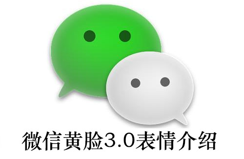 0表情是什麼意思-黃臉3.0表情介紹-初之際